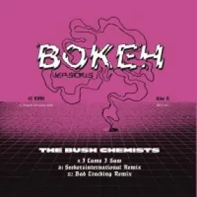 Warranty Included I CAME I SAW ORIGINAL / REMIXES by BUSH CHEMISTS